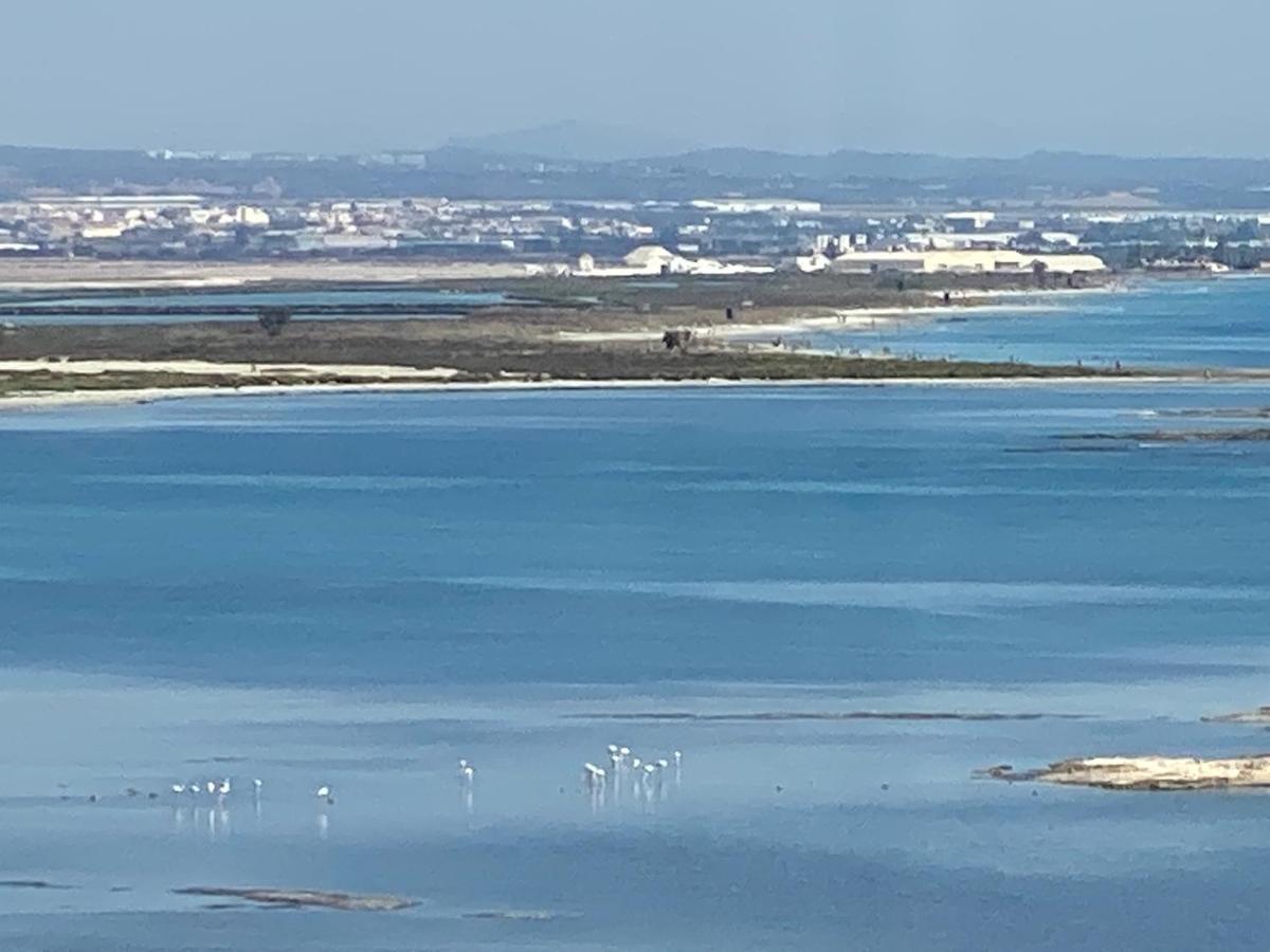 Veneziola Paradise, Spa & Gym La Manga Eksteriør billede